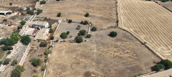 2-Zimmer Haus in Rosolini, Italy, Nr. 235950 16