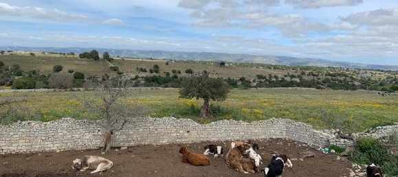 2-Zimmer Haus in Rosolini, Italy, Nr. 235950 6