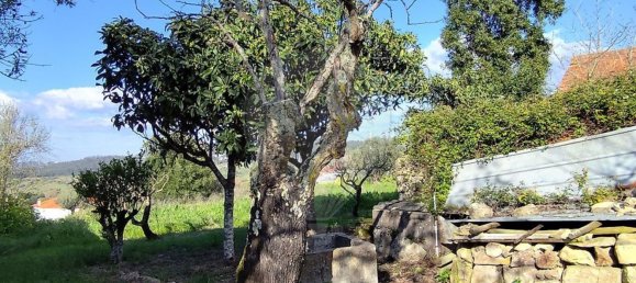 Дом с 3 спальнями в Орен, Португалия № 28466 26