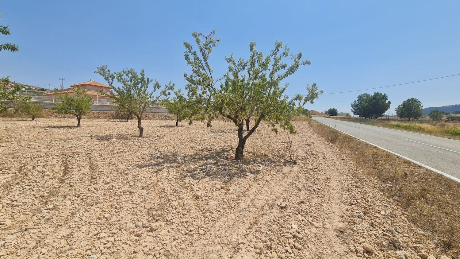 Terreno en Jumilla, Spain 7340 m² No. 272276
