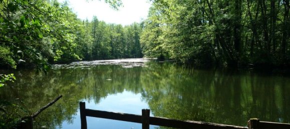 Castelos T7 em Aisne, France N.º 228148 10