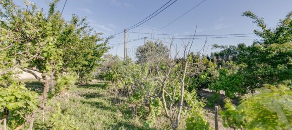 Дом с 2 спальнями в Торриш Ведраш, Португалия № 48122 3