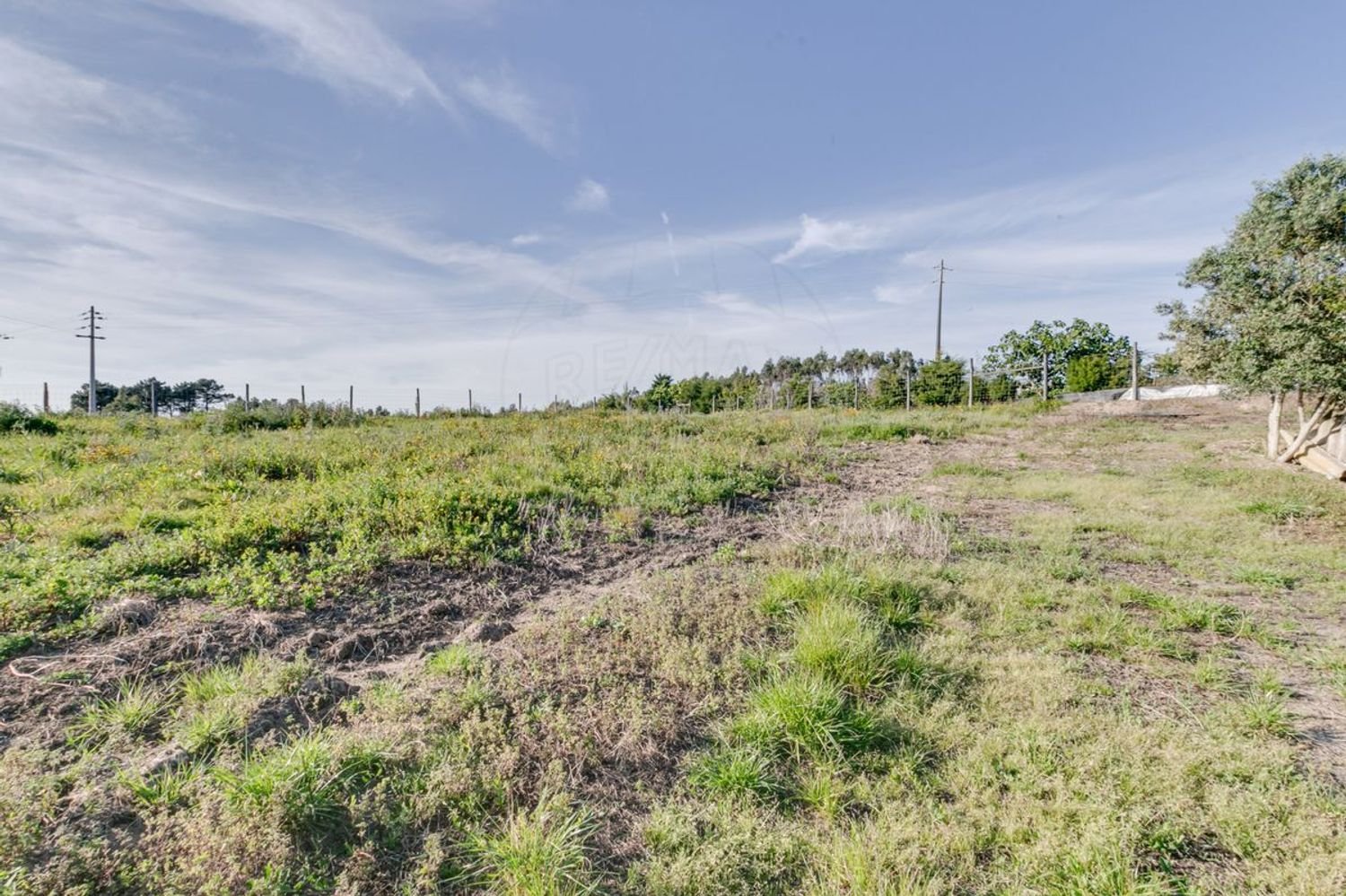 Дом с 2 спальнями в Торриш Ведраш, Португалия № 48122