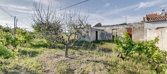 Дом с 2 спальнями в Торриш Ведраш, Португалия № 48122 6