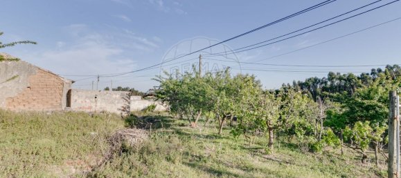 Дом с 2 спальнями в Торриш Ведраш, Португалия № 48122 2