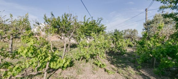 Дом с 2 спальнями в Торриш Ведраш, Португалия № 48122 4