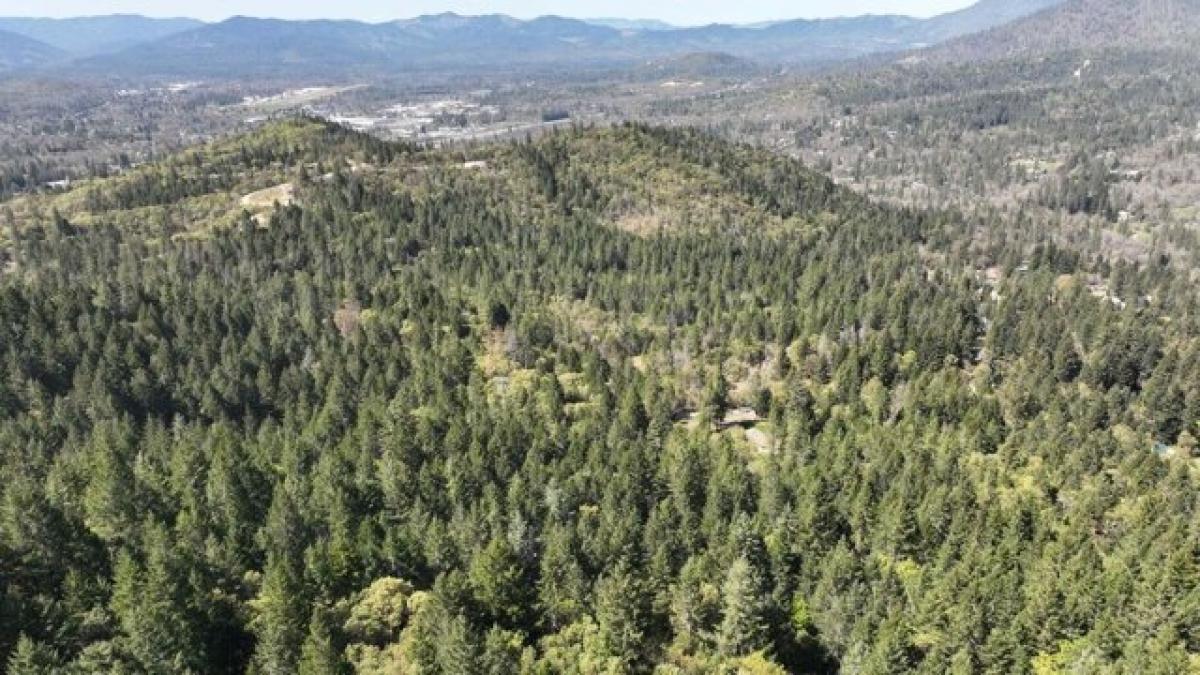  Land in Grants Pass, USA No. 515221
