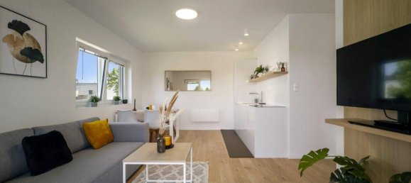 2 rooms Apartment in Lutzmannsburg, Austria No. 170797 7