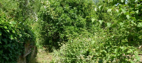 2 غرف نوم تاون هاوس في Lot, France رقم 330222 11