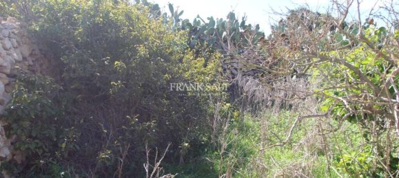 3 Schlafzimmer Haus in Xewkija, Malta, Nr. 662 12