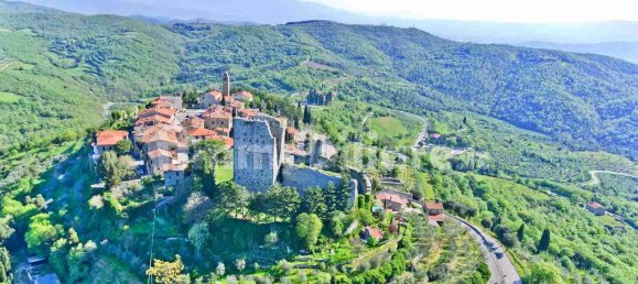 5 bedrooms House in Civitella in Val di Chiana, Italy No. 269787 14