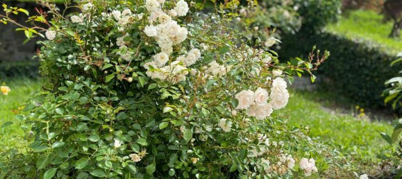 Здание в Маутаузен, Австрия № 219967 41