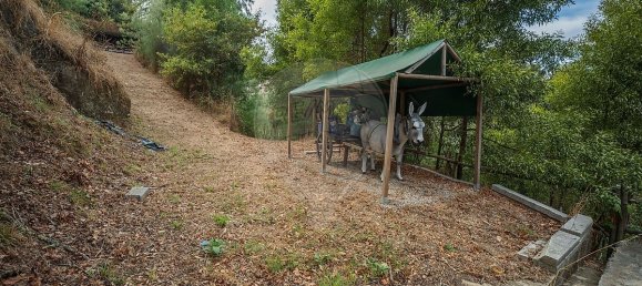 3 Schlafzimmer Haus in Oliveira de Azemeis, Portugal, Nr. 322962 25