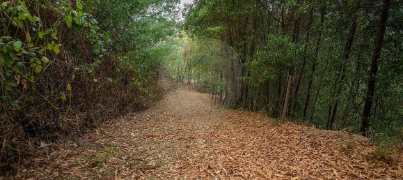 3 Schlafzimmer Haus in Oliveira de Azemeis, Portugal, Nr. 322962 26