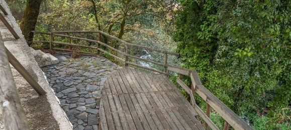 3 Schlafzimmer Haus in Oliveira de Azemeis, Portugal, Nr. 322962 32