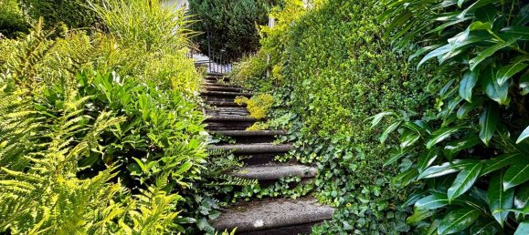 7غرفة منزل في Siegen-Wittgenstein, Germany رقم 237995 8