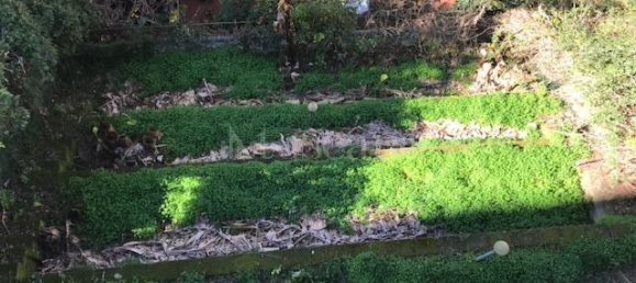 5غرفة فيلا في Rome, Italy رقم 269101 33