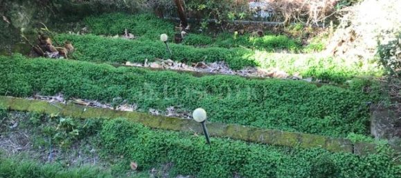 5غرفة فيلا في Rome, Italy رقم 269101 4