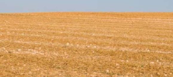 2400m² Land in Mercatino Conca, Italy No. 298897 6