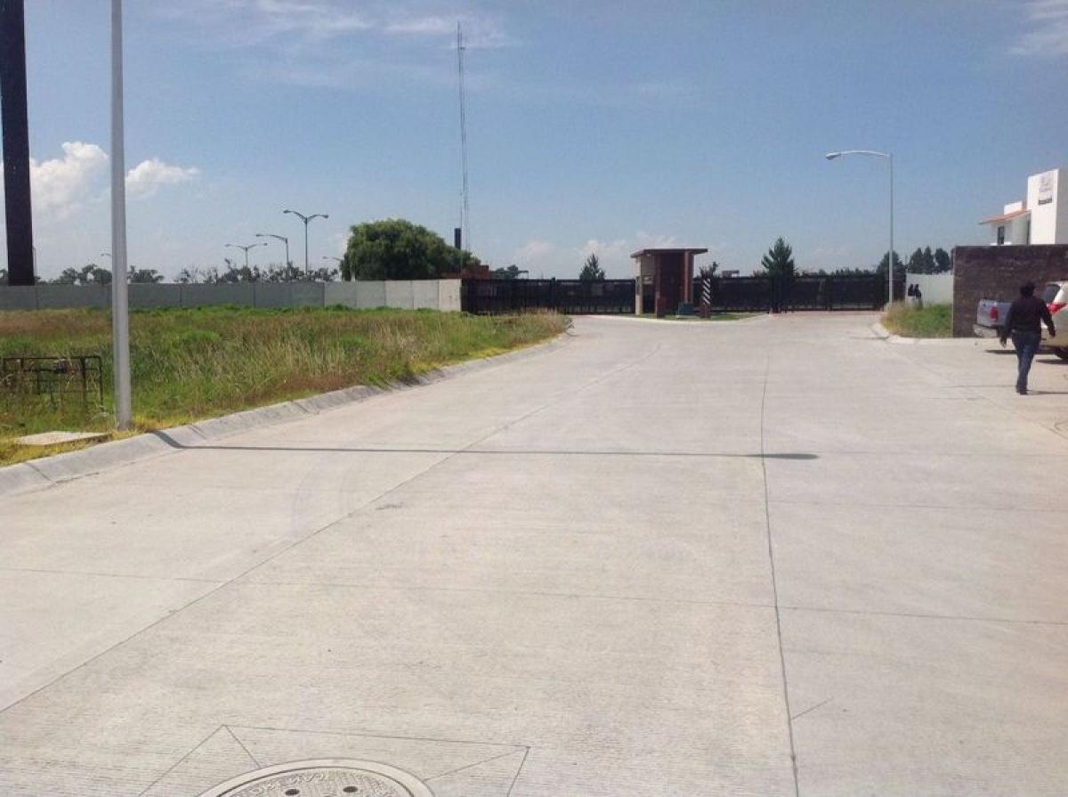  قطعة أرض في Mexico رقم 206782