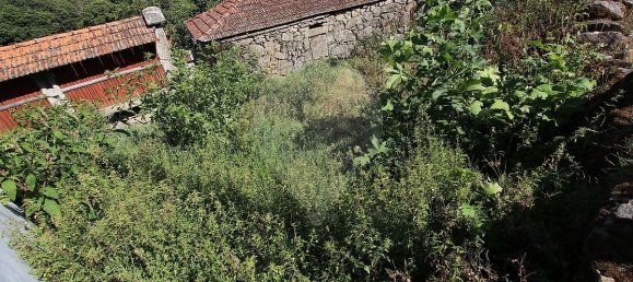 2 Schlafzimmer Haus in Rio Douro, Portugal, Nr. 50486 3
