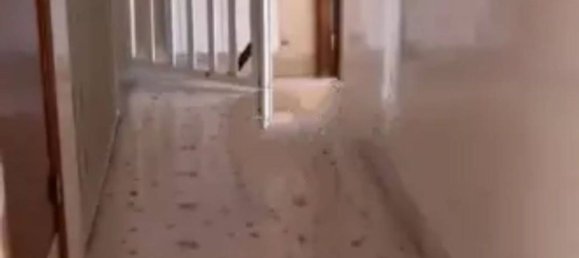 3-salle Appartement à Piazza Armerina, Italy No. 156311 9