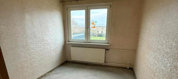 1 bedroom House in Mecklenburgische Seenplatte, Germany No. 219315 13