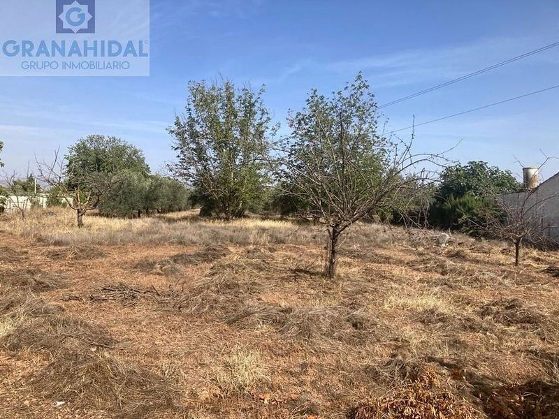 Земельный участок 2187м² в Альболоте, Испания № 226470