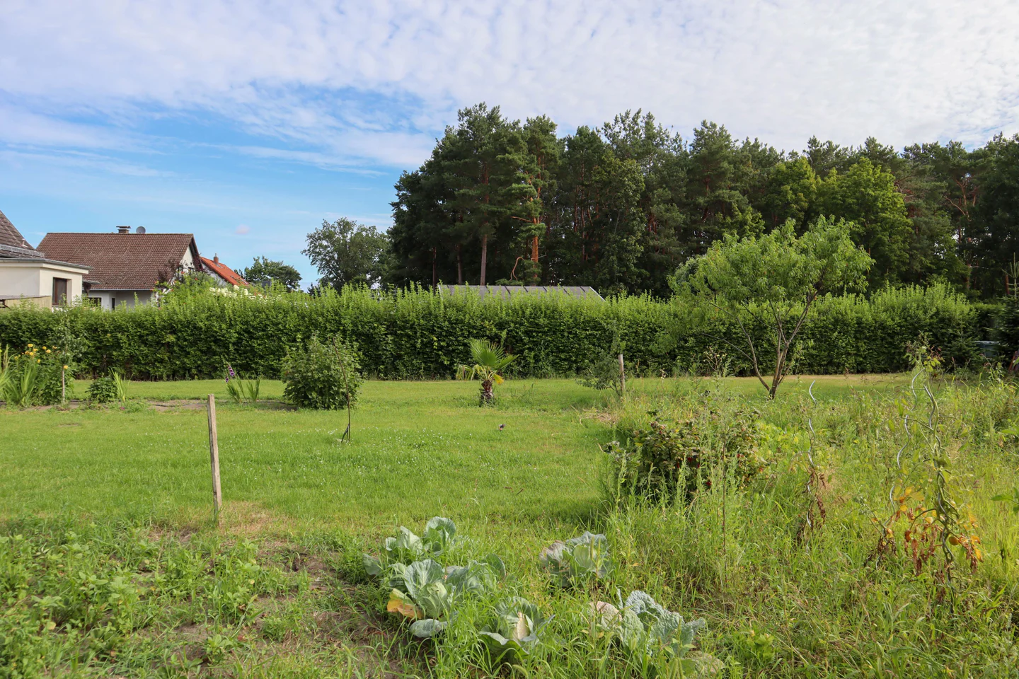 Земельный участок в Потсдам-Миттельмарк, Германия № 24732