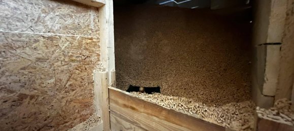 1 bedroom House in Martinsberg, Austria No. 98093 34