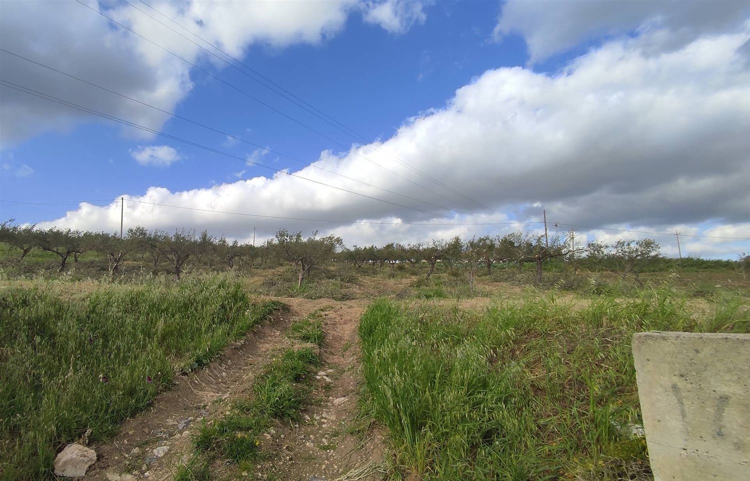  Land in Sciacca, Italy No. 403790