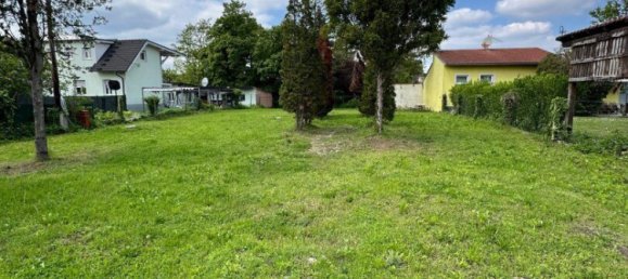 Land in Ebreichsdorf, Austria No. 133964 4