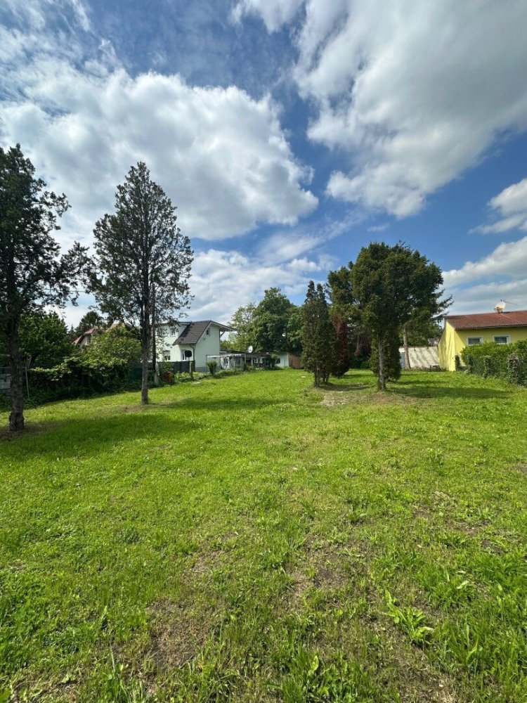  Land in Ebreichsdorf, Austria No. 133964