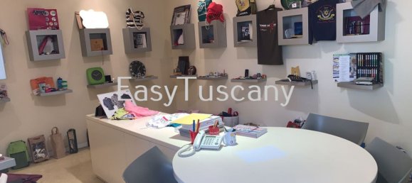 5 rooms Warehouse in Lucca, Italy No. 89601 15