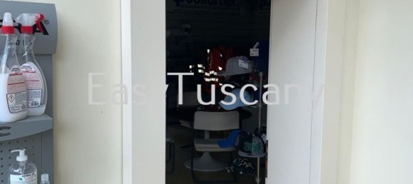 5 rooms Warehouse in Lucca, Italy No. 89601 2