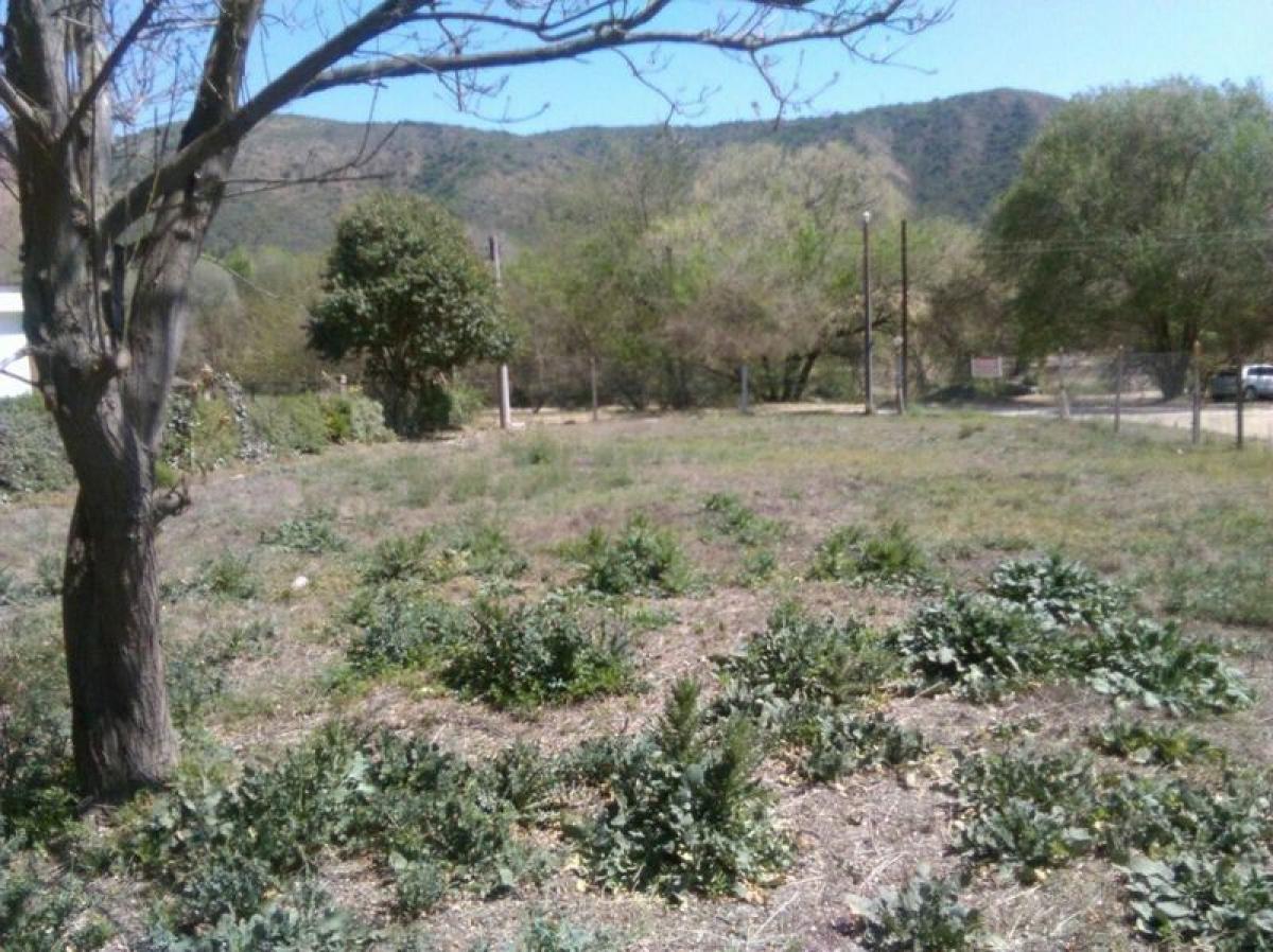  Land in Cordoba, Argentina No. 34352