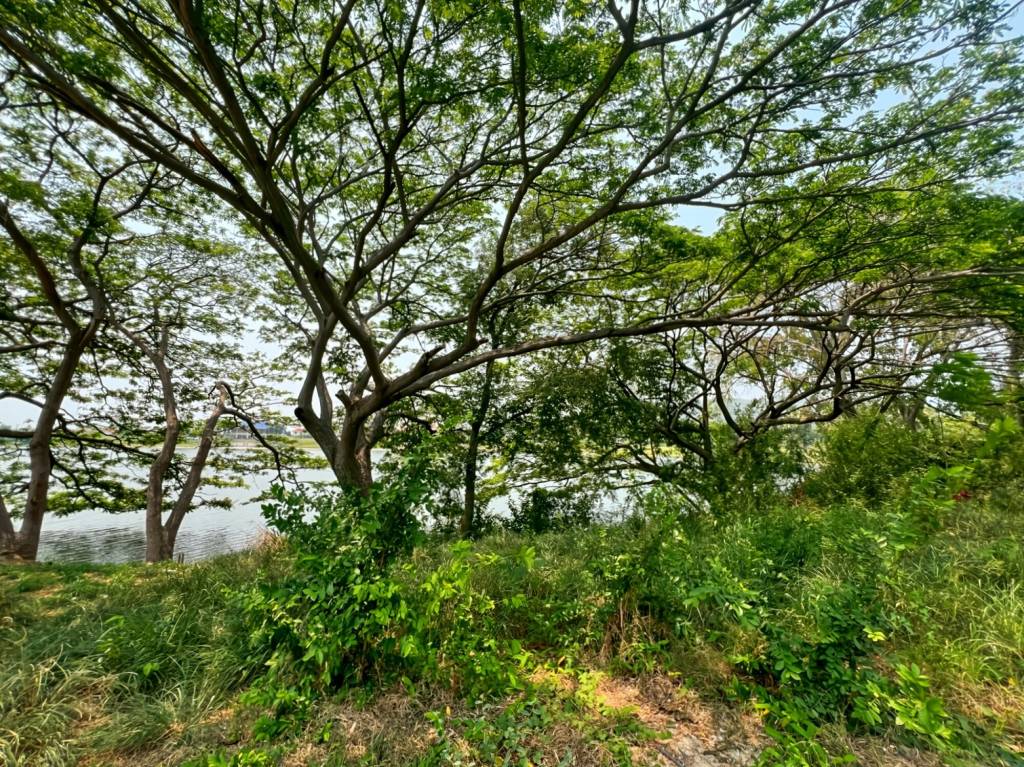  Land in Cha-am, Thailand No. 58417