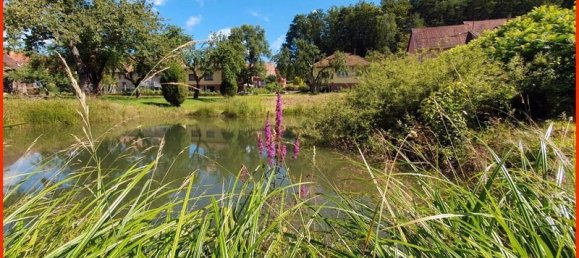 2 غرف نوم منزل في Dambach, France رقم 274218 13