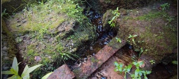 2 غرف نوم منزل في Dambach, France رقم 274218 2