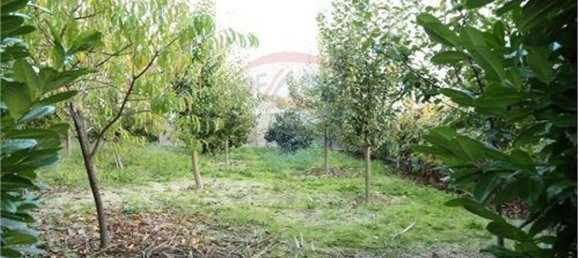 3 chambres Maison à Baiao, Portugal No. 16829 20