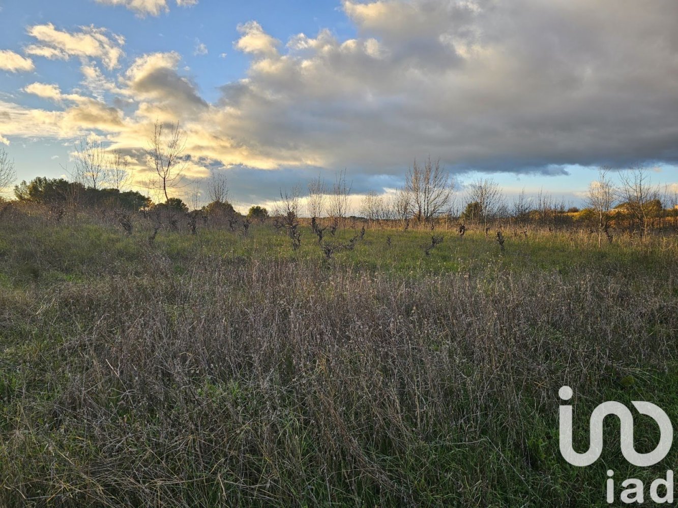 Grundstück in Bassan, France 16415m², Nr. 82685