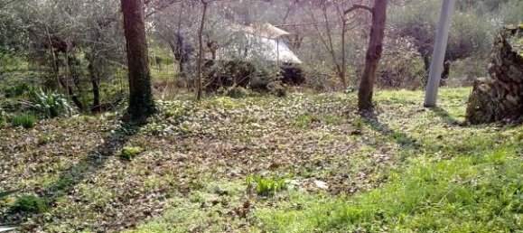 8 rooms House in Scarperia e San Piero, Italy No. 224609 4