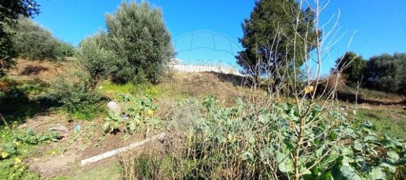 1 bedroom House in Arcos de Valdevez, Portugal No. 28923 26