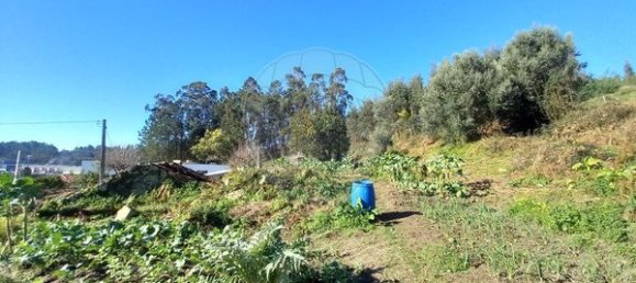 1 bedroom House in Arcos de Valdevez, Portugal No. 28923 30