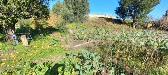 1 bedroom House in Arcos de Valdevez, Portugal No. 28923 4