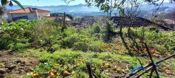 1 bedroom House in Arcos de Valdevez, Portugal No. 28923 8