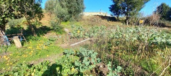 1 bedroom House in Arcos de Valdevez, Portugal No. 28923 3