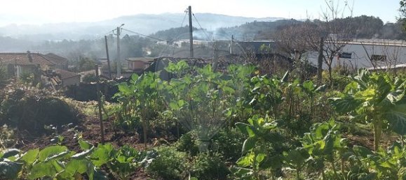 1 bedroom House in Arcos de Valdevez, Portugal No. 28923 10