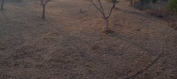  Land in Monovar, Spain No. 189040 11