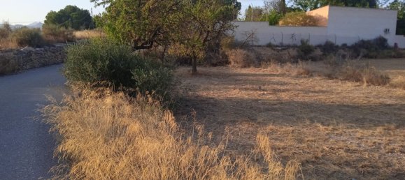  Land in Monovar, Spain No. 189040 3